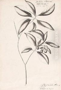 Plant Study Plant Study