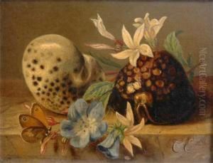 Still Life Fruit Flowers, Butterfly On A Ledge by Caroline Johanna Van Eeden