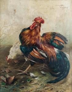 Dekoning Van Het Kippenhok by Piet Van Engelen