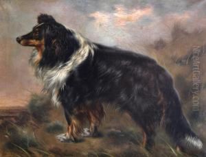 Herdershond - Chien Berger. by Piet Van Engelen