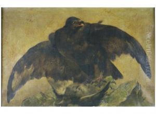 Falcon Holding A Pigeon In His Claws - view 1