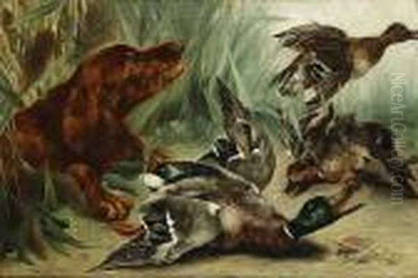 Chien De Chasse Et Canards - view 1