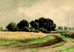Boerin Op Landweg Langs Een Korenveld