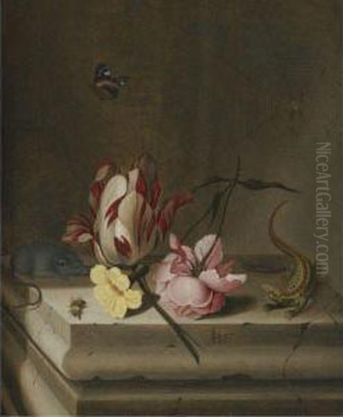 Still Life - view 1