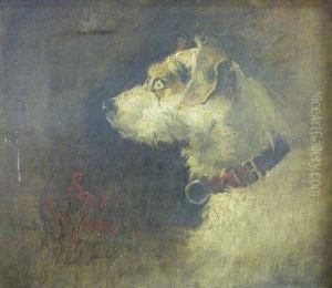Squib by Edward Van Goethem