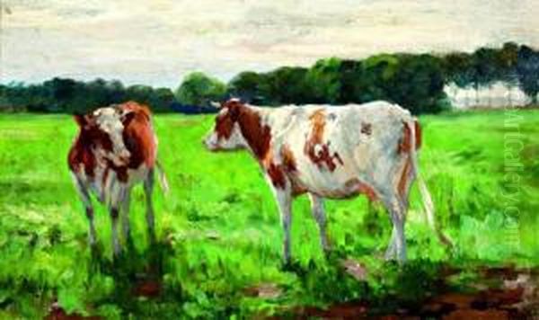 Jonge Koeien In De Wei - view 1