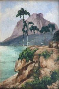 Les Environs De Rio by Henri Van Haelen