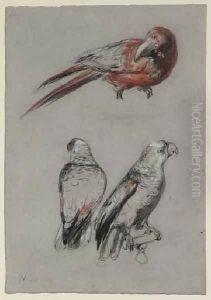 Three Parrots by Richard Parkes Bonington