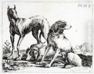 Drei Hunde