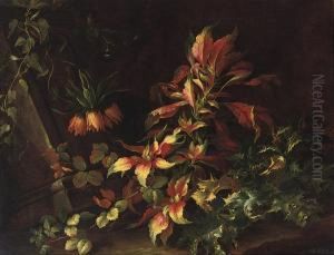 A Forest Floor With Flowers And Distels by Niccolino Van Houbraken