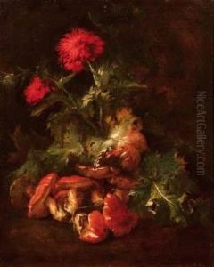Natura Morta Con Funghi E Fiori by Niccolino Van Houbraken
