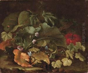Sottobosco Con Foglie E Fiori by Niccolino Van Houbraken