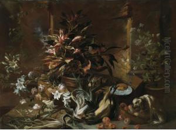 Still Life - view 1
