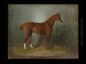 Ostpreussische Remonte by Barbara Elisabeth Van Houten