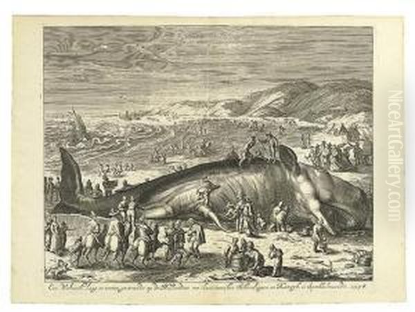 A Beached Whale Between Scheveningen And Katwijk. - view 1
