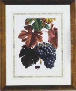 [grapes]: Five Plates