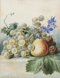 Natura Morta Di Uva, Pera E Bacche by Cornelis Johannes Van Hulstijn