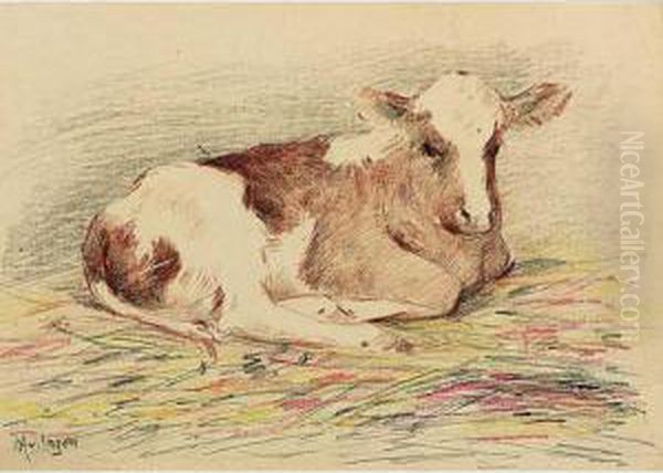 A Resting Calf - view 1