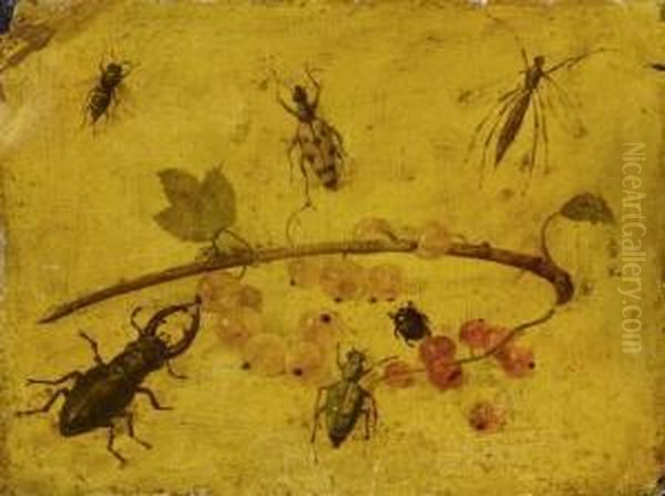 Study Of A Stag Beetle And Other Small Insects Around Red And White Berries - view 1
