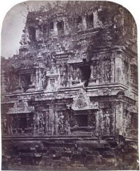Java, Temple En Ruines - view 1