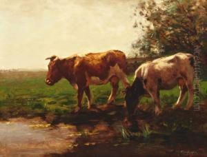 Twee Koeien Aan De Slootkant by Fedor Van Kregten