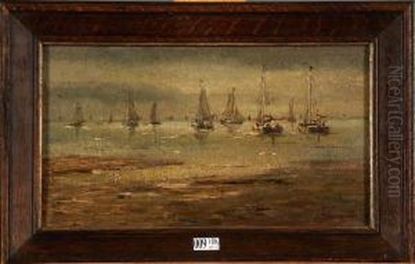 Marine - view 1