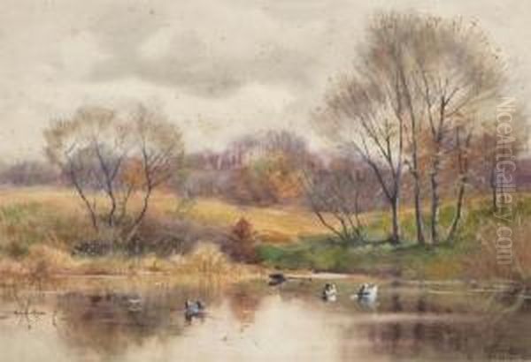 The
Duck Pond In Autumn - view 1