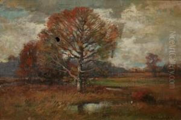 Autumn Landscape - view 1