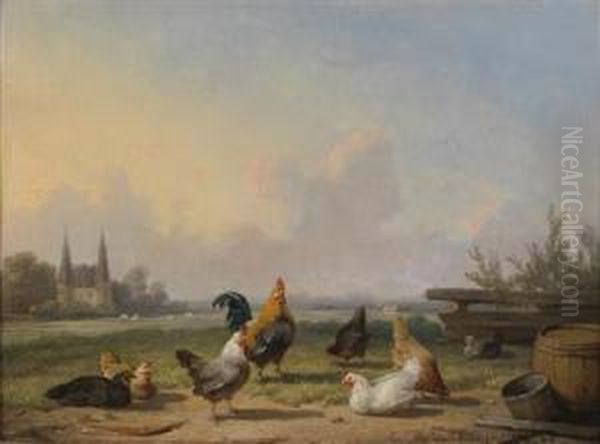 Chickens In An Open Landscape - view 1