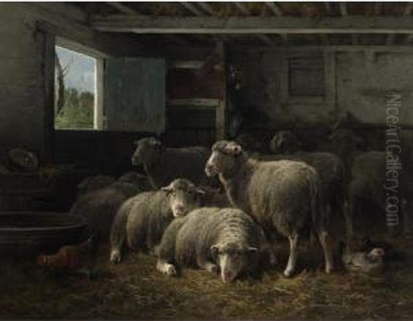 Sheep In A Barn - view 1