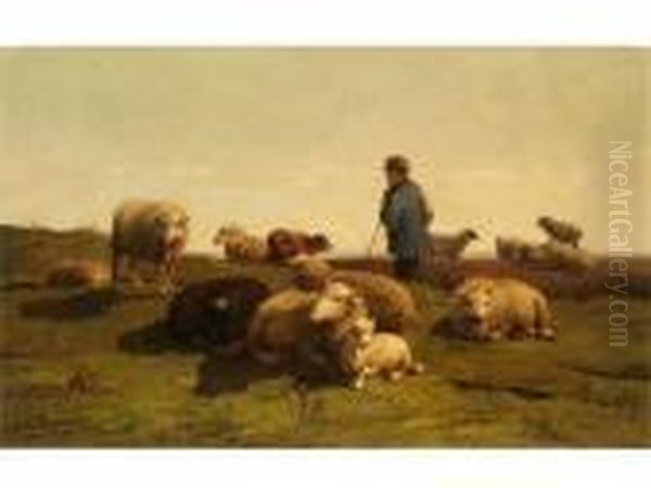 Weideidyll Mit Schafen - view 1