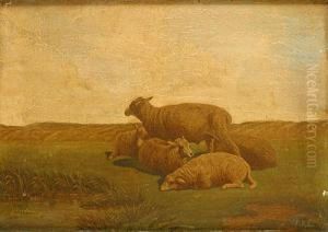Moutons by Frans Van Leemputten