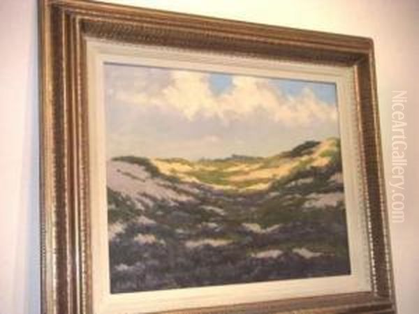 Dunes - view 1