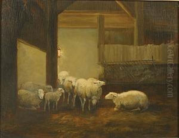 Schapen In De Stal. - view 1