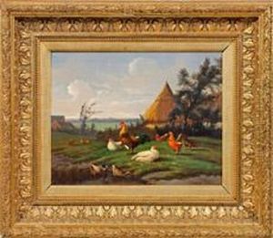 Vogelhof Mithuhnern Und Enten Vor Weiter Sommerlandschaft