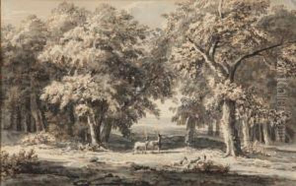 Deux Cerfs Dans Un Sous-bois - view 1
