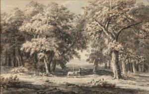 Deux Cerfs Dans Un Sous-bois by Paulus Van Liender
