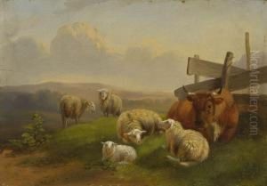 Schafe Und Kuh Auf Der Weide by Dirk Van Lokhorst