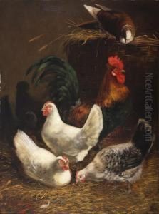 Poultry by Dirk Peter Van Lokhorst