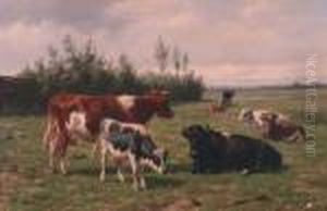 Koeien In De Weide by Dirk Peter Van Lokhorst