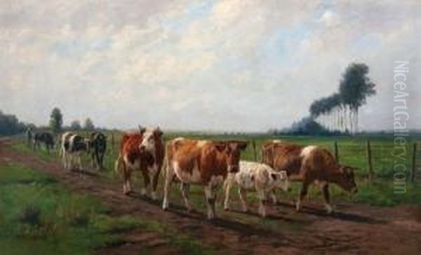 De Terugkeer - view 1