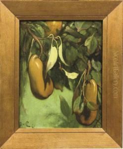 Kalebaspeeren: Pears by Jacobus Van Looy