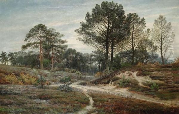Moorland With Trees - view 1