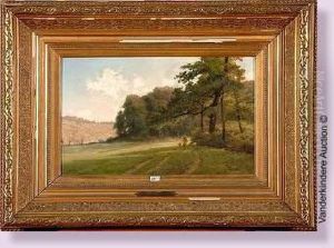 Paysage Anime