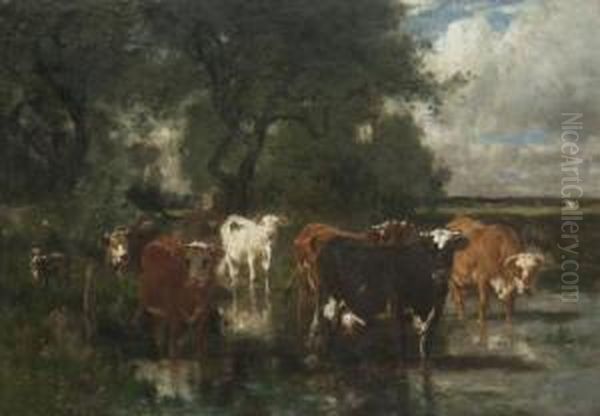 Watering Cows - view 1