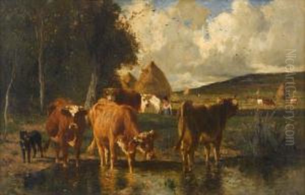 Cattle Watering - view 1