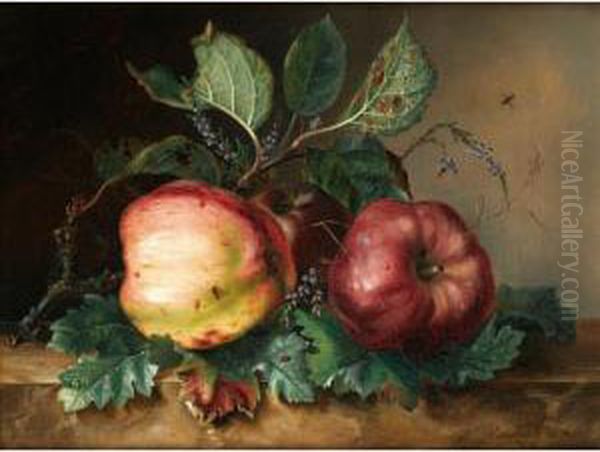 Les Deux Pommes [j*** Van Marcke ; Still Life With Two Apples ; Oil On Canvas Signed And Dated 1842] - view 1