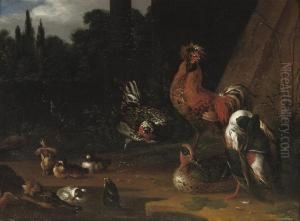 Roosters And Ducks Near A Pool In A Landscape