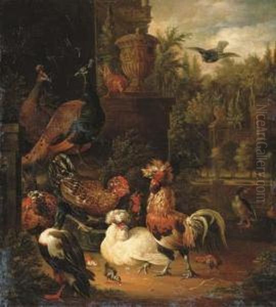A Rooster With Hens - view 1