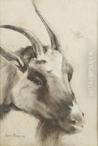Study Of A Goat by Han Van Meegeren